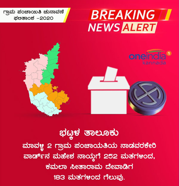 Infographics: Gram Panchayat election results 2020 updates district wise