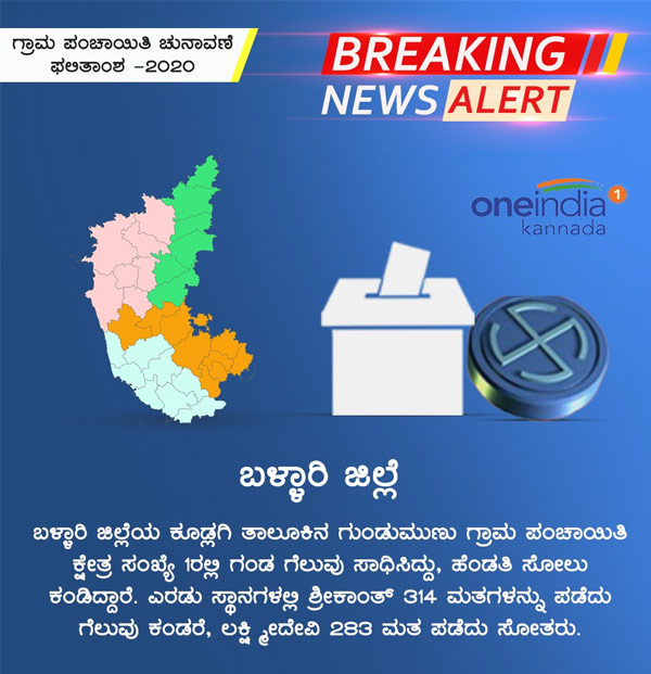 Infographics: Karnataka Gram Panchayat Election Results 2020 District Wise Updates 