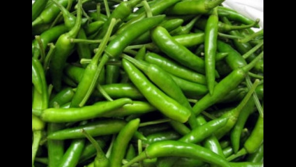  ಮೆಣಸು ಬೆಳೆಯಲು ಮುಂದಾದ ರೈತ