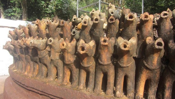 ನಾಯಿಗಳಿಗೆ ಅಕ್ಕಿ ರೊಟ್ಟಿಯ ನೈವೇದ್ಯ