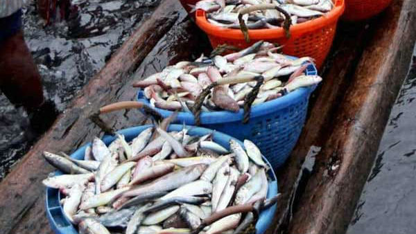 ಮೀನುಗಾರರಿಗೆ 2020 ದುರಂತಗಳ ವರ್ಷ