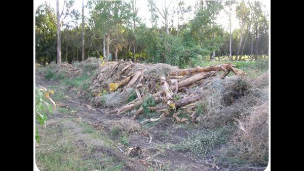ಯಾವುದೇ ಕಾರ್ಖಾನೆ ಸ್ಥಾಪಿತವಾಗಿಲ್ಲ