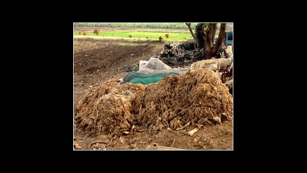 ನಾರಿನ ಉಪಯೋಗಗಳು ಮತ್ತು ಉತ್ಪನ್ನಗಳು 