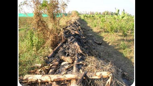 ಗೊಬ್ಬರವನ್ನು ತಯಾರಿಸುವ ಕಂಪನಿಯ ಬ್ರ್ಯಾಂಡ್ ಗಳು