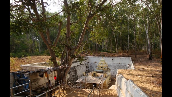 ತಲಕಾಡಿನ ಗಂಗರೆಂದೇ ಹೆಸರುವಾಸಿ