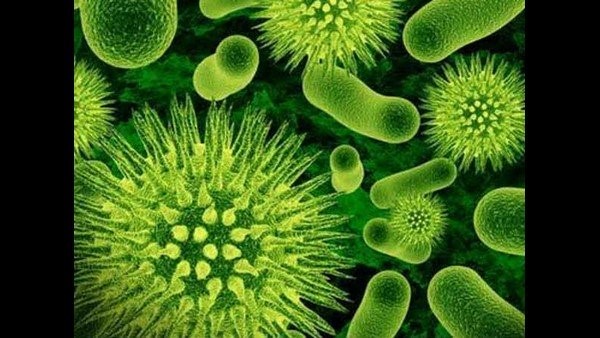 ಹಿಮ ಪದರ ಕರಗುವ ಆತಂಕ 