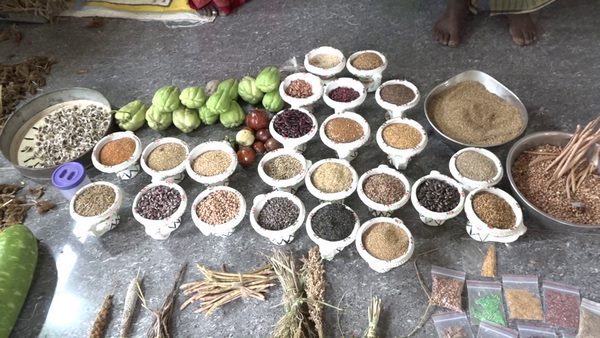 ಪತಿಯೊಂದಿಗೆ ಸೇರಿ ಮೂವತ್ತು ವರ್ಷಗಳಿಂದ ಈ ಕಾಯಕ ಪತಿಯೊಂದಿಗೆ ಸೇರಿ ಮೂವತ್ತು ವರ್ಷಗಳಿಂದ ಈ ಕಾಯಕ