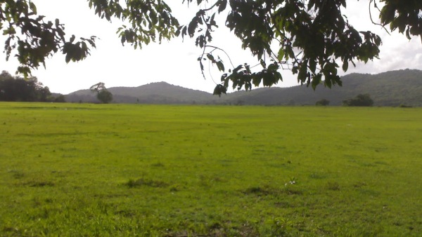 ಕರ್ನಾಟಕ ಕೈಗಾರಿಕಾ ಅಭಿವೃದ್ಧಿ ನಿಗಮ