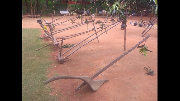 Ramanagara: Simple Sankranti Ritual In Janapada Loka