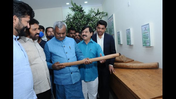 ತೂಕದ ಮೂಲಕ ಮಾರಾಟ ಮಾರಲ್ಪಡುವ ಏಕೈಕ ಮರ