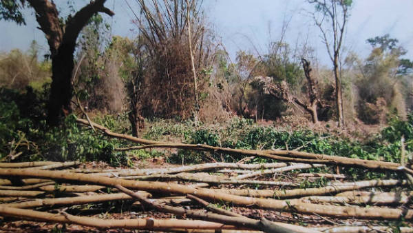 40 ವರ್ಷದವರೆಗೆ ಒಪ್ಪಂದ ವಿಸ್ತರಣೆ
