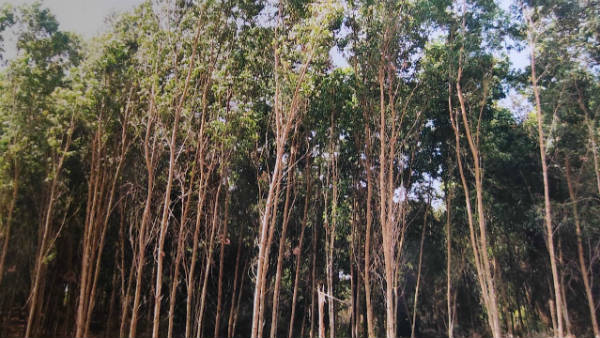 ಆಗ ಇವರೇ ಪ್ರತಿಭಟಿಸಿದ್ದರು