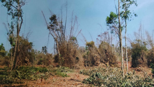 ಸೊಪ್ಪಿನ ಬೆಟ್ಟ, ಗೋಮಾಳಗಳು ನಾಶ