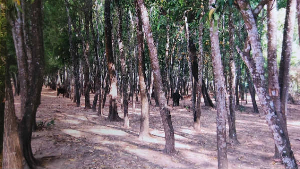 ಬೃಹತ್ ಹೋರಾಟಕ್ಕೆ ಸಜ್ಜು