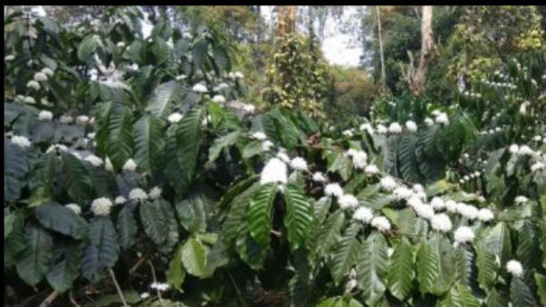 ಸೂಕ್ಷ್ಮ ಆಹಾರ ಸಂಸ್ಕರಣಾ ಉದ್ಯಮ ಉತ್ತೇಜನೆ ಸೂಕ್ಷ್ಮ ಆಹಾರ ಸಂಸ್ಕರಣಾ ಉದ್ಯಮ ಉತ್ತೇಜನೆ