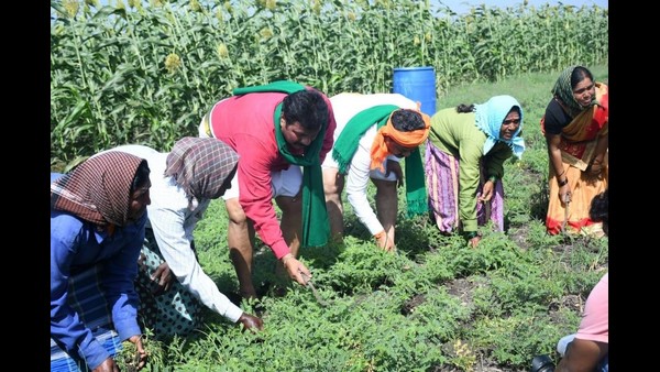 ಕುಸಿದ ರೈತನಿಗೆ ಶಕ್ತಿ ತುಂಬುವುದು ಸಚಿವರ ಕೆಲಸ ಕುಸಿದ ರೈತನಿಗೆ ಶಕ್ತಿ ತುಂಬುವುದು ಸಚಿವರ ಕೆಲಸ