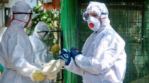 2020 ರಲ್ಲಿ ಹಕ್ಕಿ ಜ್ವರ ಸಾಂಕ್ರಾಮಿಕದ ನಿಯಂತ್ರಣ 