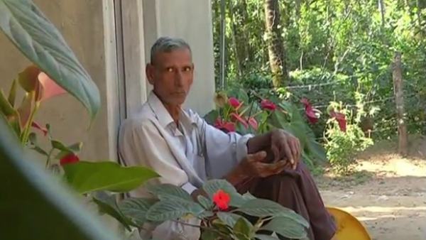 ಕಾಫಿ, ಮೆಣಸು ಗಿಡ ಕಡಿಯುತ್ತಾರೆ