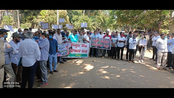 Coffee Growers Demand For Loan Waiver