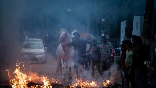 Sankranti Celebration In Actor Darshan Farm House