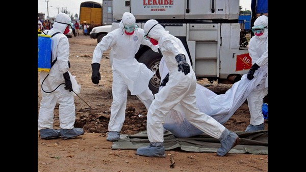 ಪ್ರಾಣಿಗಳಿಂದ ಮನುಷ್ಯರಿಗೆ