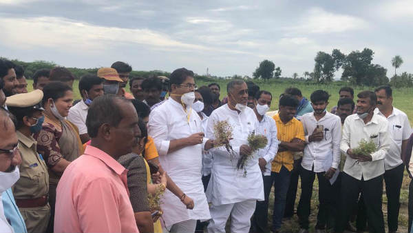 ಸಾವಿರಾರು ಹೆಕ್ಟೇರ್ ಬೆಳೆ ನಾಶ