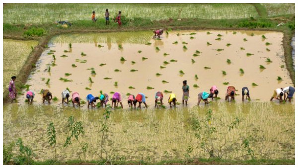 ಹಲವು ಇಲಾಖೆಗಳ ಮಧ್ಯೆ ಅರ್ಜಿ ವರ್ಗಾವಣೆ