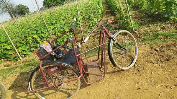 ಟ್ರೈಸಿಕಲ್ ಖರೀದಿಸಿದ್ದಾರೆ