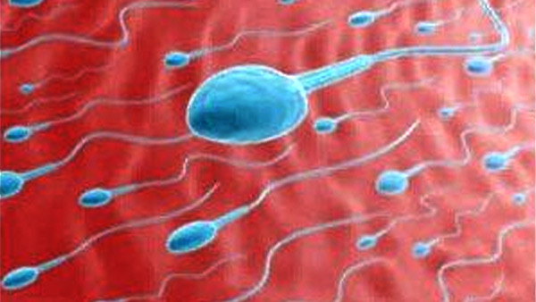  ದೆಹಲಿ ಆಸ್ಪತ್ರೆಯಲ್ಲಿ ವೀರ್ಯ ಸಂಗ್ರಹ