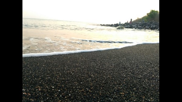Karwar: Black Sand Draining On The Thilmati Beach; Tourists Who Carring Illegally 
