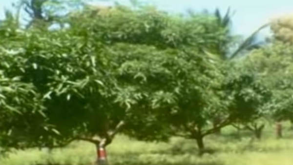 ವಿವಿಧ ಬೆಳೆಗಳನ್ನು ಬೆಳೆದಿದ್ದಾರೆ