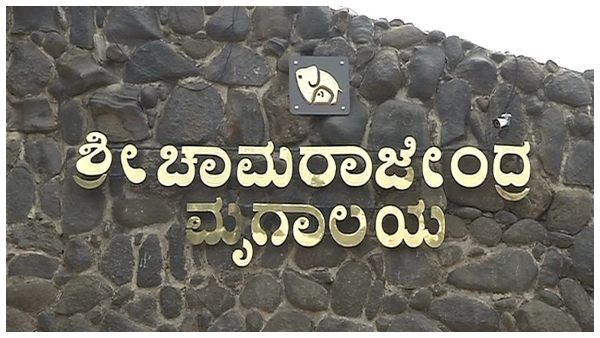 Mysuru: Zoo Animals Have No Food Problems By The Cow Slaughter Ban Bill: Ajit Kulakrni Mysuru: Zoo Animals Have No Food Problems By The Cow Slaughter Ban Bill: Ajit Kulakrni