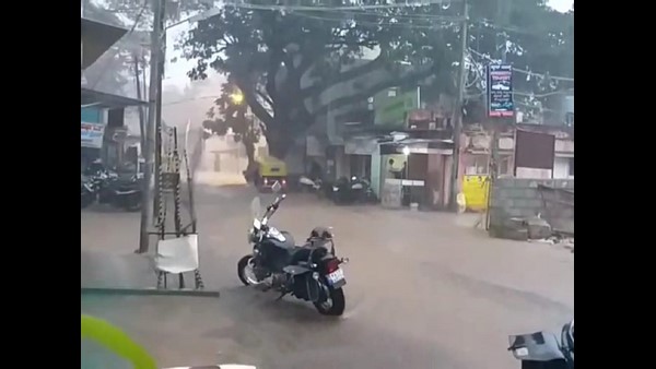 ಬೆಳೆಗೆ ಹಾನಿಯಾಗುವ ಆತಂಕ ರೈತರನ್ನು ಕಾಡುತ್ತಿದೆ