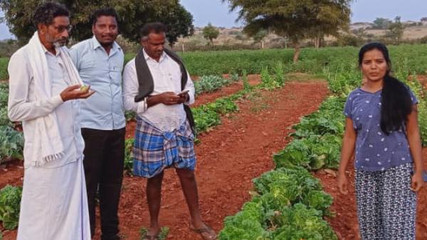 ಕೆಲಸ ಕಸಿದುಕೊಂಡು ಕೋವಿಡ್