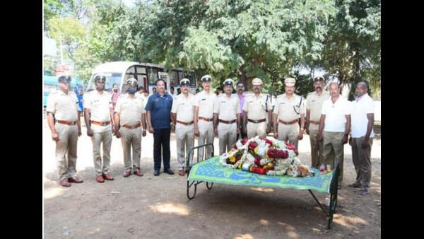 Mysuru Polices Sniffer Dog Seema Dies After 11 Years Of Service