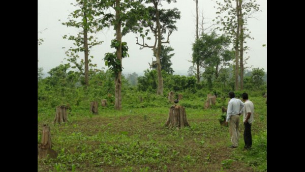 ಕಳ್ಳ ಬೇಟೆಗಾರರು ದುಷ್ಕೃತ್ಯಗಳನ್ನು ಮಾಡುತ್ತಾರೆ