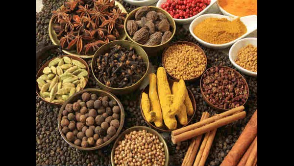 ಈಗ ಕಾಡುಗಳಲ್ಲೂ ಬೆಳೆಯಲಾಗುತ್ತಿದೆ