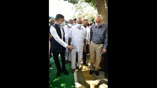 ಬೃಹತ್ ವೃಕ್ಷೋದ್ಯಾನಗಳು
