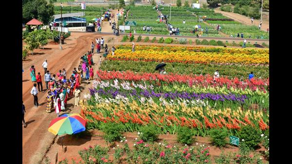 National Horticulture Fair 2021 at IIHR campus in hesaraghatta will end on Feb 12