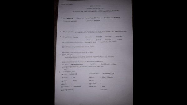Mysuru: Allegation Of Rape On Street Dog; Detention Of A Young Man