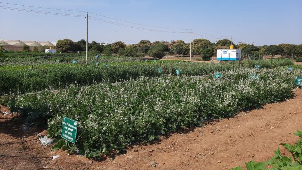 ಅಗತ್ಯ ಮಾರ್ಗದರ್ಶನ