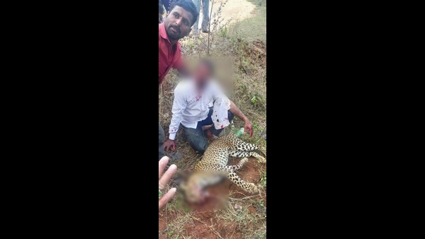 Karnataka In News For Man And Animal Conflic