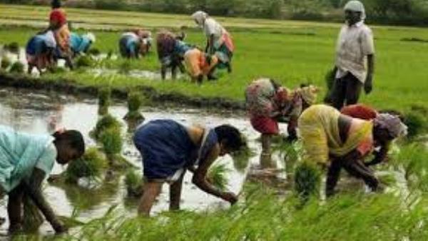 ನಮ್ದು ಮಾದರಿ ಮಾರುಕಟ್ಟೆ ಆರಂಭ