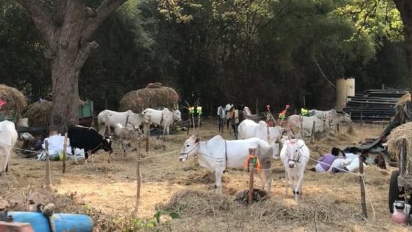 ದುಷ್ಟ ರಾಕ್ಷಸನ ಕೊಂದ ಪಾರ್ವತಿ