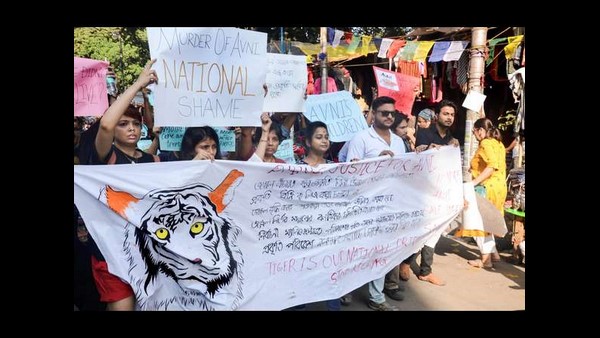 ಕೂದಲು ಆರು ತಿಂಗಳು ಉಳಿಯುತ್ತದೆ