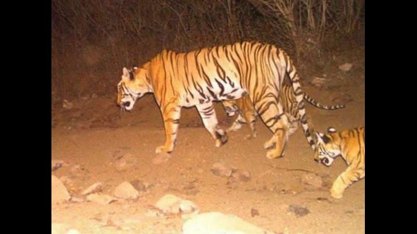 ನಮಗೆ ಸ್ಪಷ್ಟ ಪುರಾವೆ ಬೇಕು