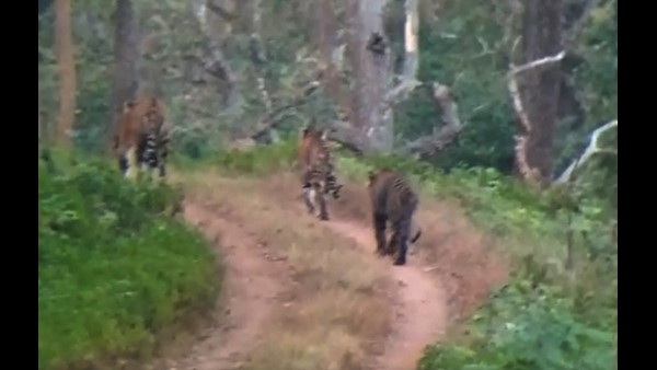 ಯಳಂದೂರಿನಿಂದ ಸುಮಾರು 15 ಕಿ.ಮೀ ದೂರ