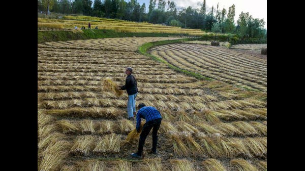 ಕೃಷಿ ಸಾಲದ ಗುರಿಯನ್ನು 16.5 ಲಕ್ಷ ರೂ.ಗೆ ಹೆಚ್ಚಳ 