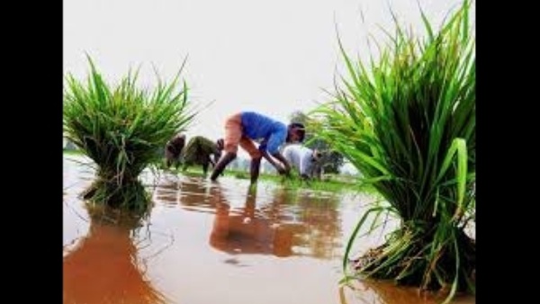 ಗ್ರಾಮೀಣ ಆರ್ಥಿಕತೆಗೆ ಲಾಭವಿಲ್ಲ