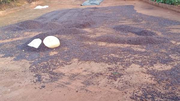 ಮಳೆಯಿಂದ ರಕ್ಷಣೆ ಪಡೆದ ಜನರು